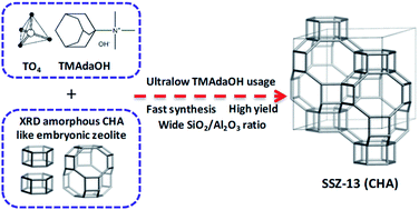 Graphical abstract: Embryonic zeolite-assisted synthesis of SSZ-13 with superior efficiency and their excellent catalytic performance