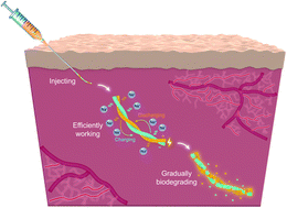 Graphical abstract: A biodegradable and rechargeable fiber battery