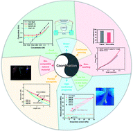 Graphical abstract: Spinning continuous high-strength bacterial cellulose hydrogel fibers for multifunctional bioelectronic interfaces