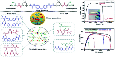 Graphical abstract: Parthenocissus-inspired, strongly adhesive, efficiently self-healing polymers for energetic adhesive applications