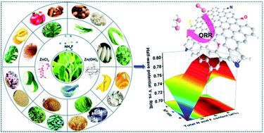 Graphical abstract: A treasure map for nonmetallic catalysts: optimal nitrogen and fluorine distribution of biomass-derived carbon materials for high-performance oxygen reduction catalysts