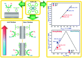 Graphical abstract: Insights into the electronic structure of Fe penta-coordinated complexes. Spectroscopic examination and electrochemical analysis for the oxygen reduction and oxygen evolution reactions