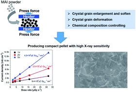 Graphical abstract: Grain and stoichiometry engineering for ultra-sensitive perovskite X-ray detectors