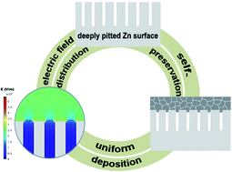 Graphical abstract: A self-preserving pitted texture enables reversible topographic evolution and cycling on Zn metal anodes