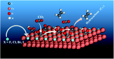 Graphical abstract: Influence of halide ions on the electrochemical reduction of carbon dioxide over a copper surface