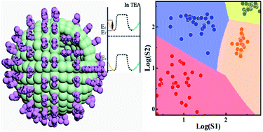 Graphical abstract: Highly conjugated three-dimensional van der Waals heterostructure-based nanocomposite films for ultrahigh-responsive TEA gas sensors at room temperature