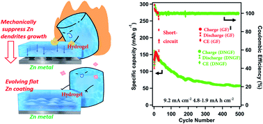Graphical abstract: High strength hydrogels enable dendrite-free Zn metal anodes and high-capacity Zn–MnO2 batteries via a modified mechanical suppression effect