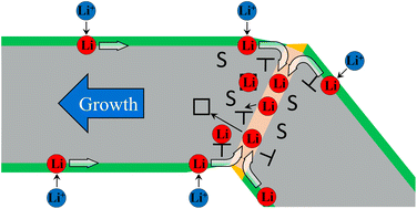 Graphical abstract: The growth mechanism of lithium dendrites and its coupling to mechanical stress