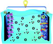 Graphical abstract: A unique 2.1 V “Water in Salt” elemental sulfur based Na-ion hybrid storage capacitor