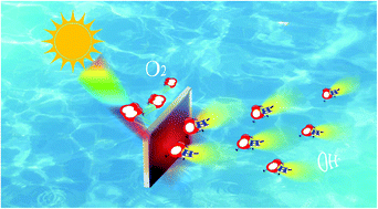 Graphical abstract: Photothermal-effect-promoted interfacial OH− filling and the conversion of carrier type in (Co1−xNix)3C during water oxidation