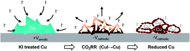 Graphical abstract: Iodide-mediated Cu catalyst restructuring during CO2 electroreduction