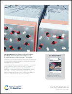 Graphical abstract: Inside back cover
