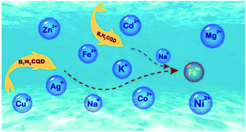 Graphical abstract: Highly fluorescent nitrogen and boron doped carbon quantum dots for selective and sensitive detection of Fe3+