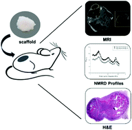 Graphical abstract: Monitoring tissue implants by field-cycling 1H-MRI via the detection of changes in the 14N-quadrupolar-peak from imidazole moieties incorporated in a “smart“ scaffold material