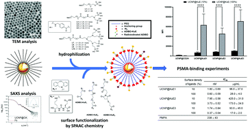 Graphical abstract: Synthesis and in vitro preliminary evaluation of prostate-specific membrane antigen targeted upconversion nanoparticles as a first step towards radio/fluorescence-guided surgery of prostate cancer