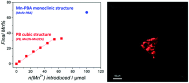 Graphical abstract: A rational study of the influence of Mn2+-insertion in Prussian blue nanoparticles on their photothermal properties