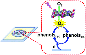 Graphical abstract: Singlet-oxygen generated by a metal–organic framework for electrochemical biosensing