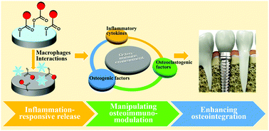 Graphical abstract: A novel coating with universal adhesion and inflammation-responsive drug release functions to manipulate the osteoimmunomodulation of implants