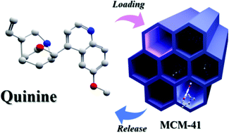 Graphical abstract: Encapsulation and controlled release of an antimalarial drug using surface functionalized mesoporous silica nanocarriers