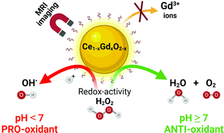 Graphical abstract: Biocompatible dextran-coated gadolinium-doped cerium oxide nanoparticles as MRI contrast agents with high T1 relaxivity and selective cytotoxicity to cancer cells