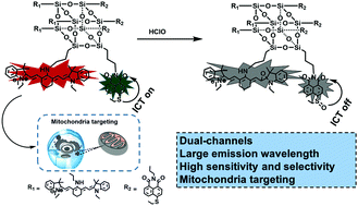 Graphical abstract: A POSS-assisted fluorescent probe for the rapid detection of HClO in mitochondria with a large emission wavelength in dual channels