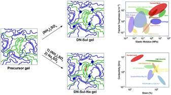 Graphical abstract: An extremely tough and ionic conductive natural-polymer-based double network hydrogel