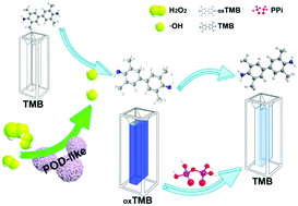 Graphical abstract: FeMoO4 nanospheres-based nanozymatic colorimetry for rapid and sensitive pyrophosphate detection