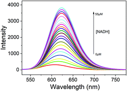 Graphical abstract: An NADH-selective and sensitive fluorescence probe to evaluate living cell hypoxic stress