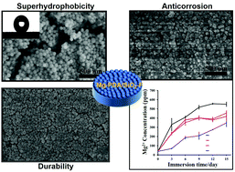 Graphical abstract: Harnessing superhydrophobic coatings for enhancing the surface corrosion resistance of magnesium alloys