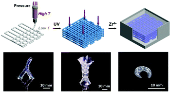 Graphical abstract: 3D printing of a tough double-network hydrogel and its use as a scaffold to construct a tissue-like hydrogel composite