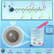 Graphical abstract: High-sensitivity fluorescence detection for lung cancer CYFRA21-1 DNA based on accumulative hybridization of quantum dots