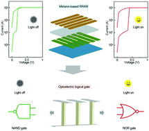 Graphical abstract: Phototunable memories and reconfigurable logic applications based on natural melanin