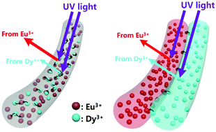 Graphical abstract: Suppressed energy transfer between different rare earth ions to obtain enhanced and tuned fluorescence by using Janus nanofibers