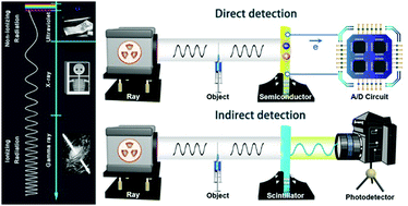 Graphical abstract: Organic photoelectric materials for X-ray and gamma ray detection: mechanism, material preparation and application