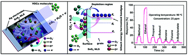 Graphical abstract: A highly stable, selective, and high-performance VOC sensor using a SnS2 nano-lotus structure