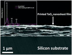 Graphical abstract: Long-range ordering of two-dimensional wide bandgap tantalum oxide nanosheets in printed films