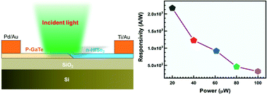 Graphical abstract: Fast and high photoresponsivity gallium telluride/hafnium selenide van der Waals heterostructure photodiode