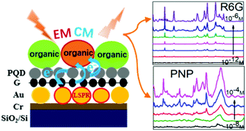 Graphical abstract: High-performance SERS substrate based on perovskite quantum dot–graphene/nano-Au composites for ultrasensitive detection of rhodamine 6G and p-nitrophenol