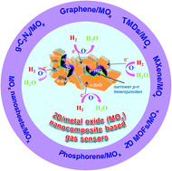 Graphical abstract: Gas sensing performance of 2D nanomaterials/metal oxide nanocomposites: a review