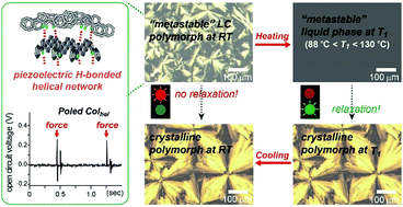 Graphical abstract: Non-classical temperature-dependent phase sequence: long-lived metastable piezoelectric helical columnar liquid crystalline polymorph