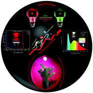 Graphical abstract: Energy transfer cooperation between ligands and EuIII ions in molecular europium complexes for vapoluminescence sensing (reversible on/off emission switching) and hybrid white LED/plant-growth applications