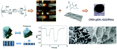 Graphical abstract: A flexible hydrogel tactile sensor with low compressive modulus and dynamic piezoresistive response regulated by lignocellulose/graphene aerogels
