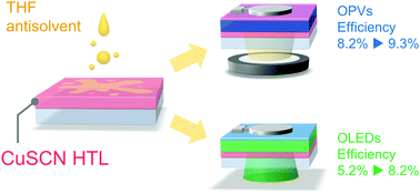 Graphical abstract: Antisolvent treatment of copper(i) thiocyanate (CuSCN) hole transport layer for efficiency improvements in organic solar cells and light-emitting diodes