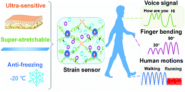 Graphical abstract: Design and performance of an ultra-sensitive and super-stretchable hydrogel for artificial skin