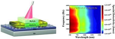 Graphical abstract: Type-III organic/two-dimensional multi-layered phototransistors with promoted operation speed at the communication band