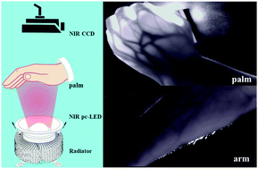 Graphical abstract: Cr3+-activated Na3X2Li3F12 (X = Al, Ga, or In) garnet phosphors with broadband NIR emission and high luminescence efficiency for potential biomedical application