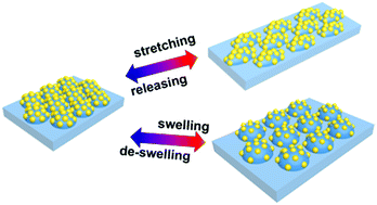 Graphical abstract: Dynamic and reversible tuning of pixelated plasmonic cluster arrays