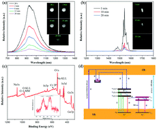 Graphical abstract: A near infrared-II broad emission material with multi-spectral excitation and long persistent luminescence properties