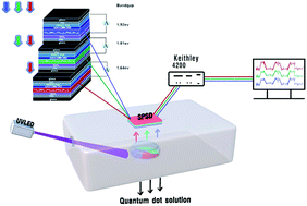 Graphical abstract: Stacked perovskite photodetectors for multi-color fluorescence detection