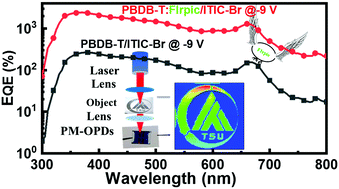 Graphical abstract: Enhanced photomultiplication of organic photodetectors via phosphorescent material incorporation